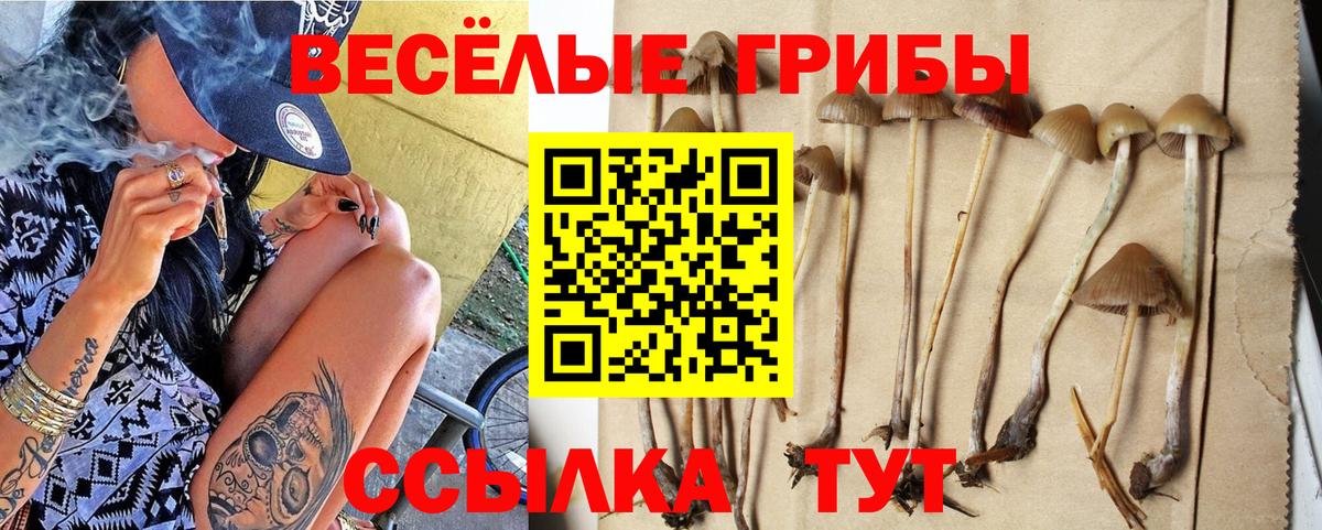 купить наркоту  Вход с VPN  Южно-Сахалинск  Галлюциногенные грибы Psilocybine cubensis 